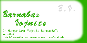 barnabas vojnits business card